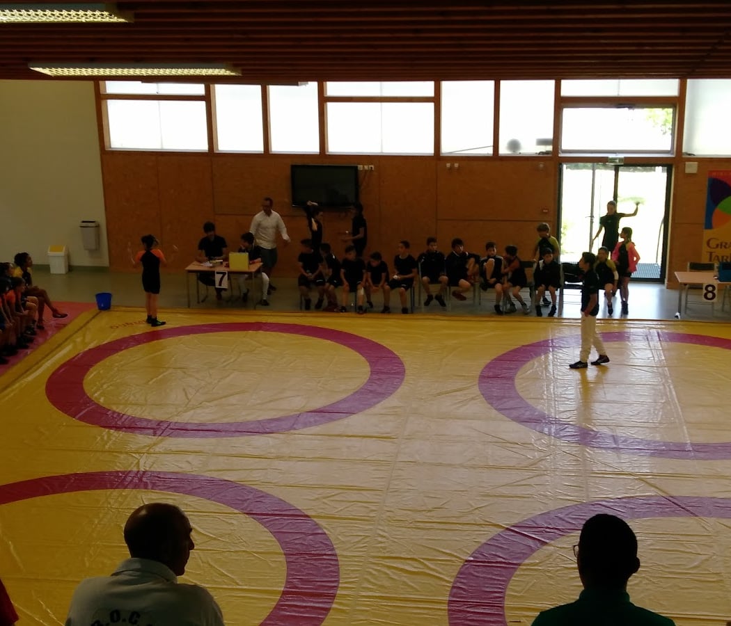 Championnat Luta Livre Series 2