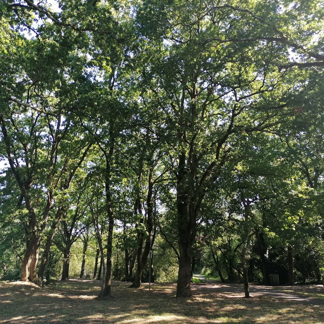 Étang de la Belle Hautière 2