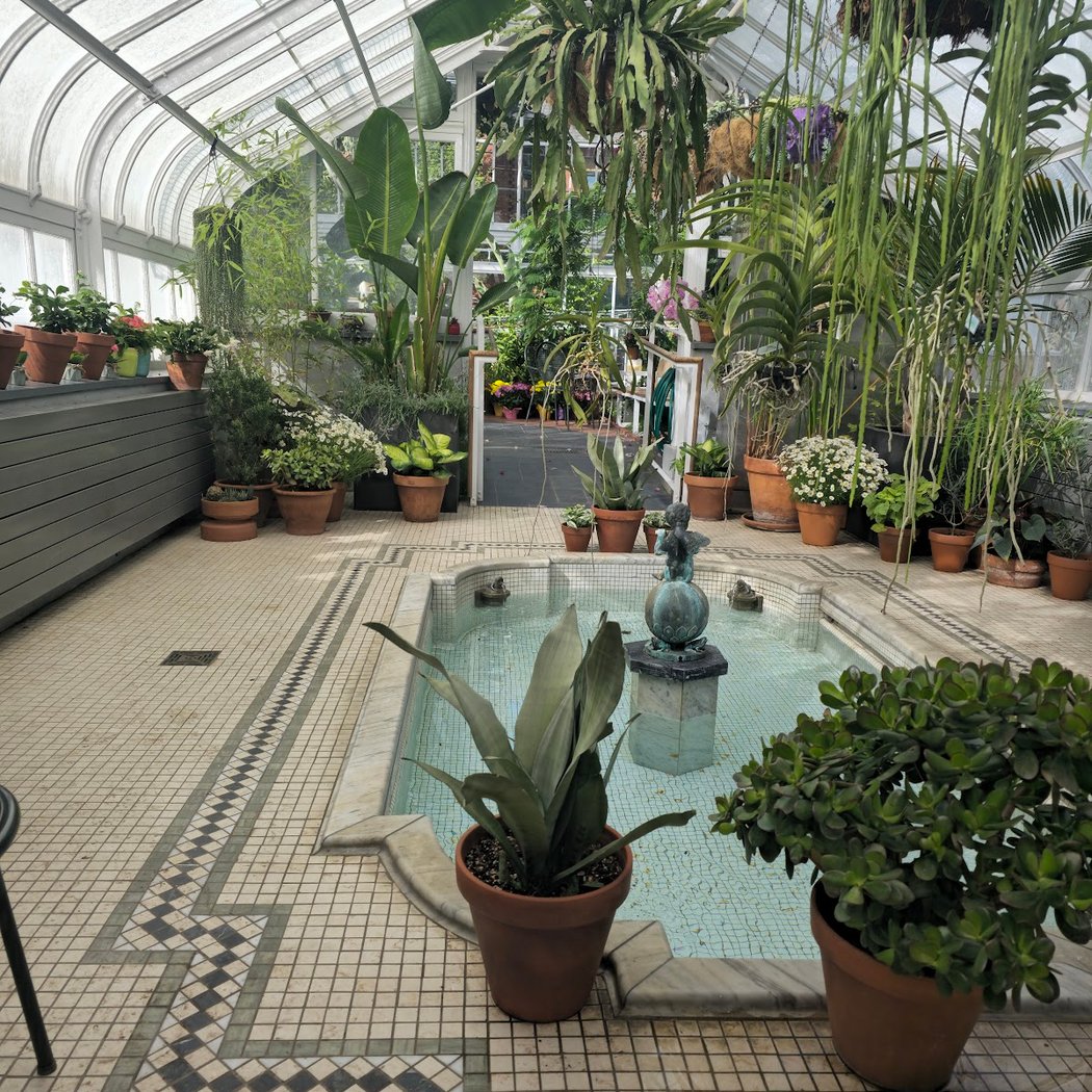 Westmount Conservatory and Greenhouses 2