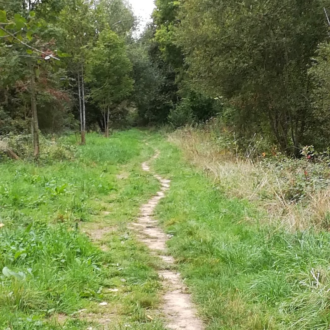 Plateau de Saclay 5