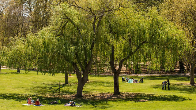 Parc de la Torse à Aix 1
