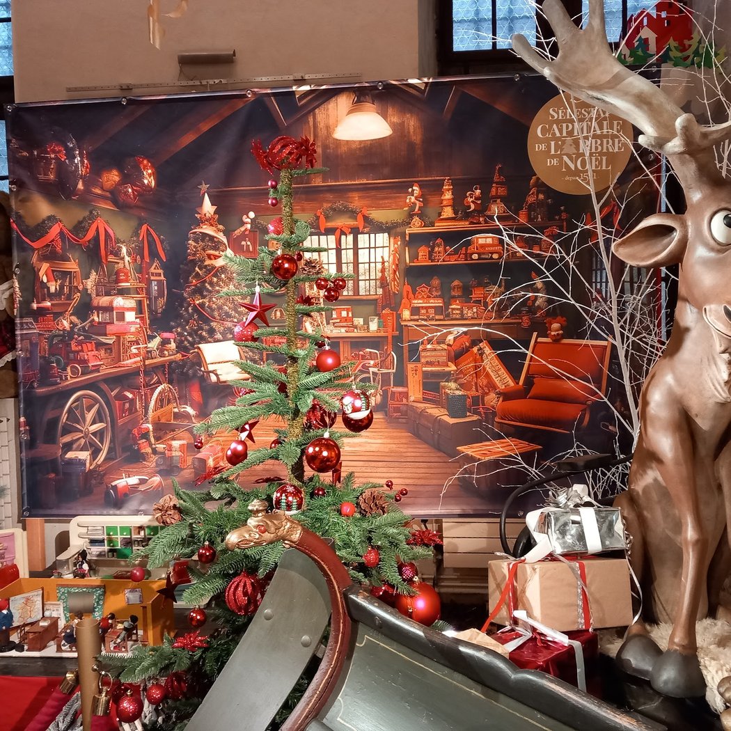Marché de Noël de Sélestat 3