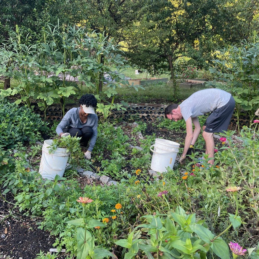 Friday Garden Workday at Annie's House 3