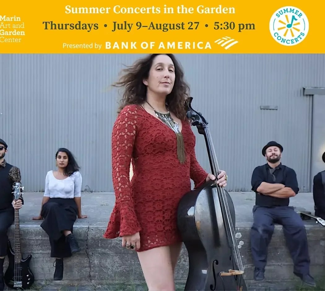 Summer Concerts - Dirty Cello