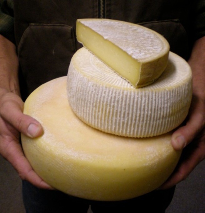 Vella Cheese Company of California 3
