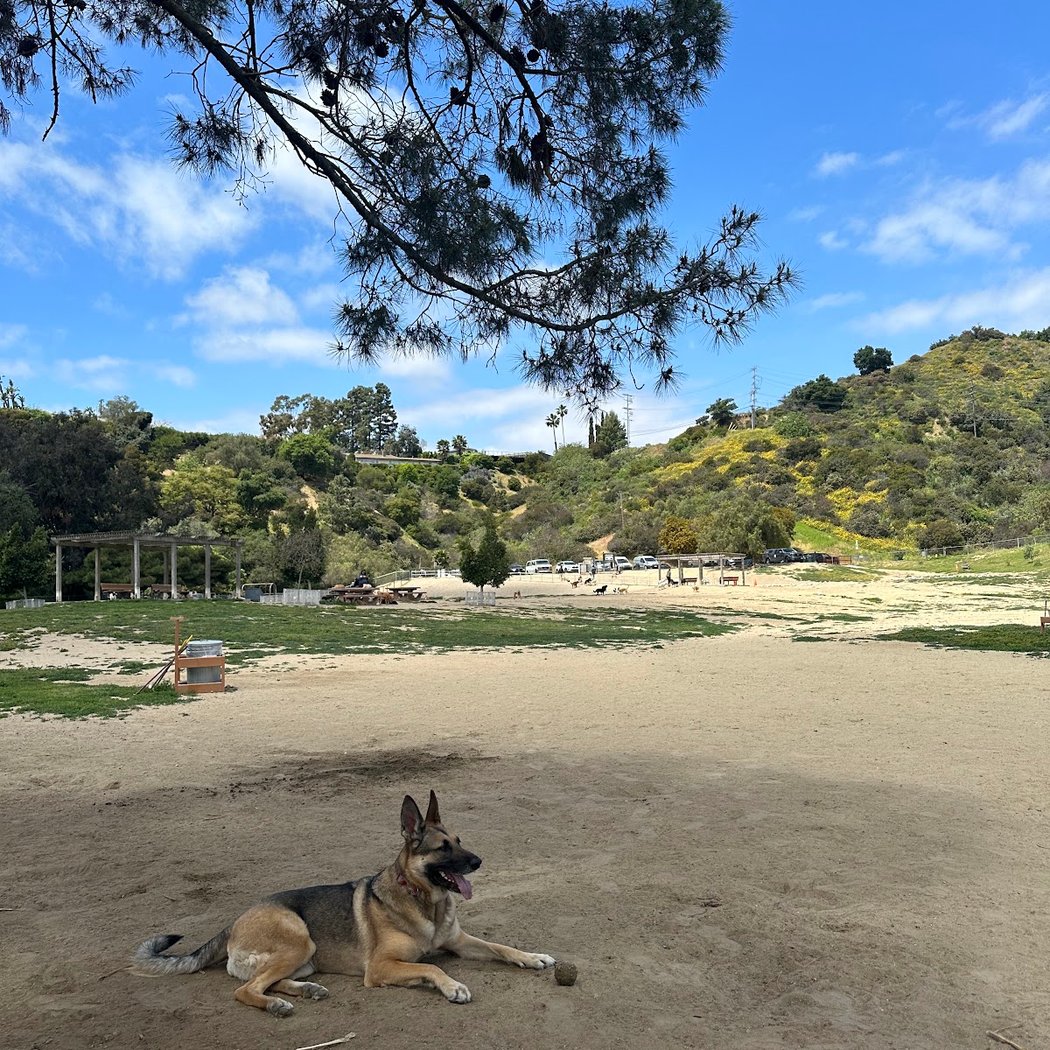 Laurel Canyon Dog Park 2
