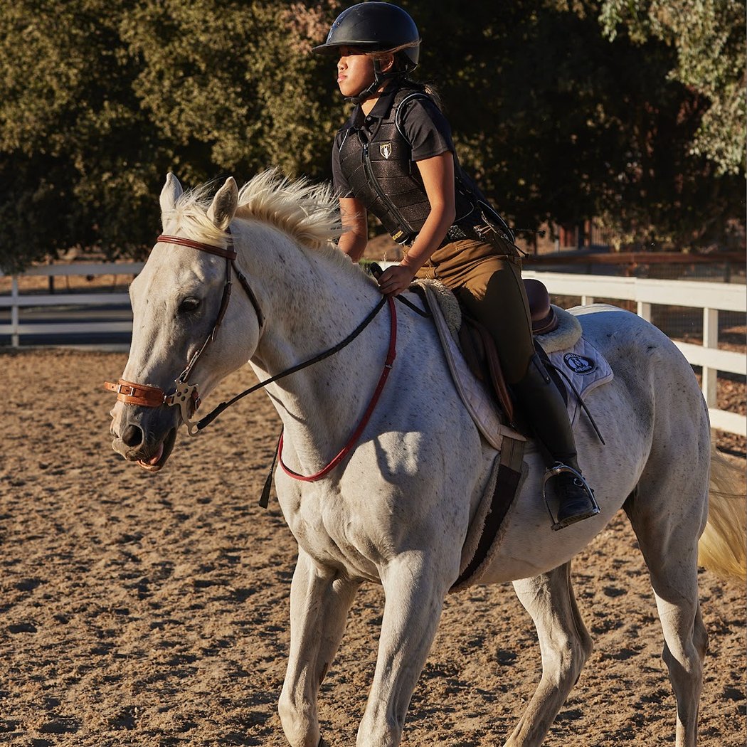 Five Star Equestrian 1