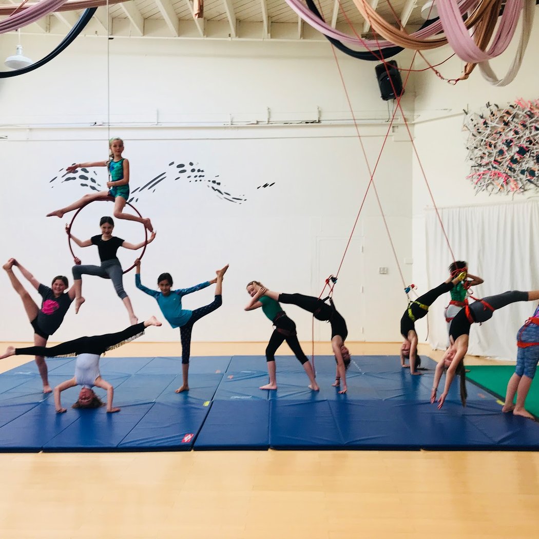 Tea Dancers - Aerial Dance Academy 3