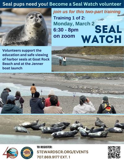 2026 Seal Watch Volunteer Training 1