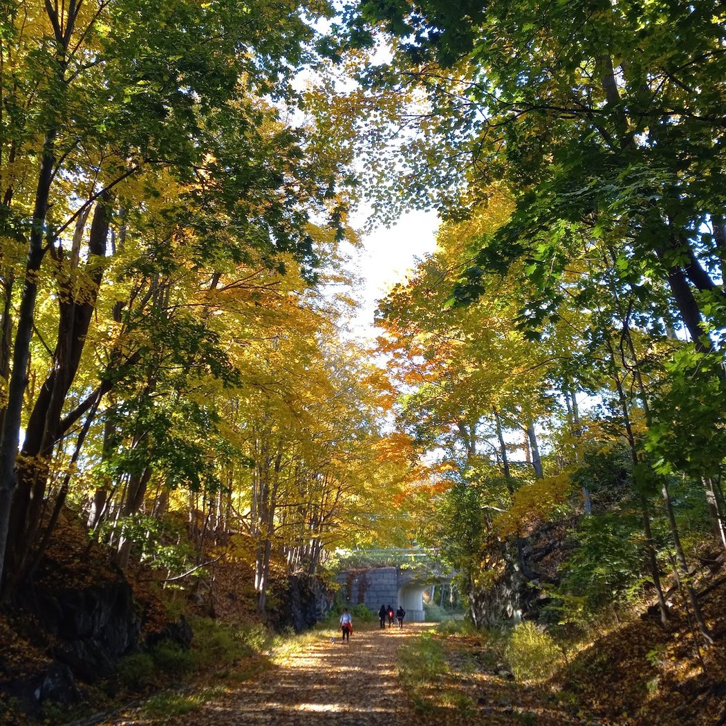 Hudson Valley Rail Trail 1