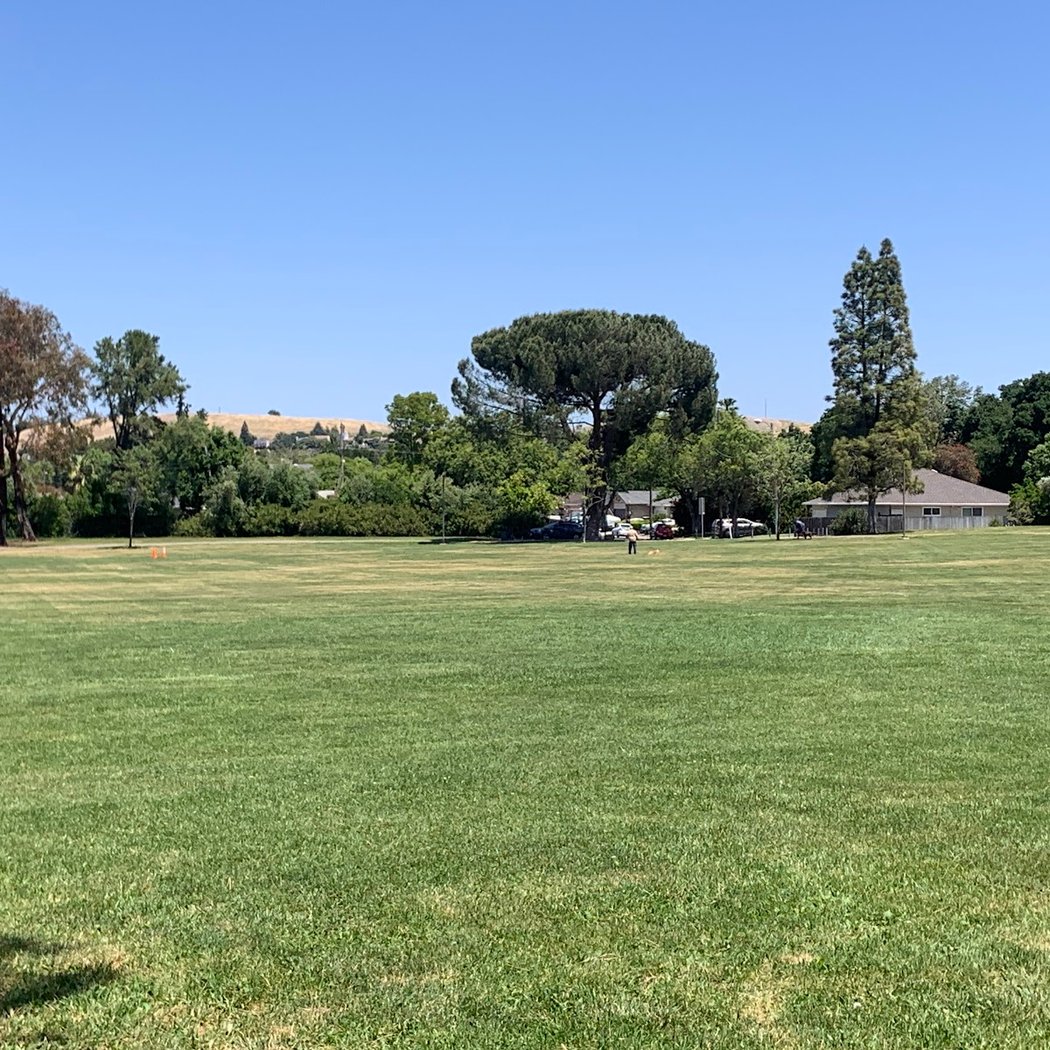 Ygnacio Valley Park 3