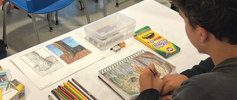 CLASSES | Color Theory (Adult Session)