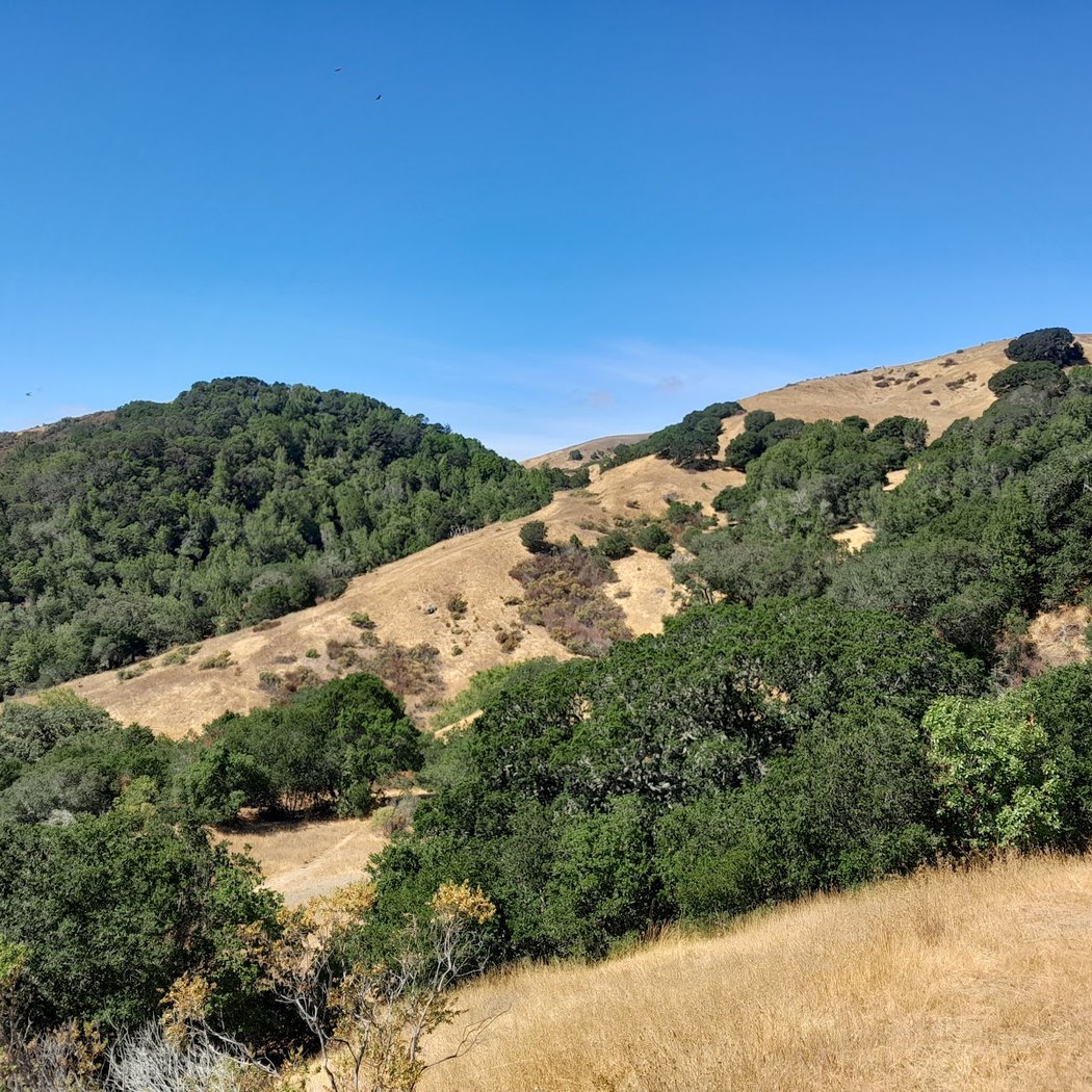 Glen Fire Road Trailhead 2