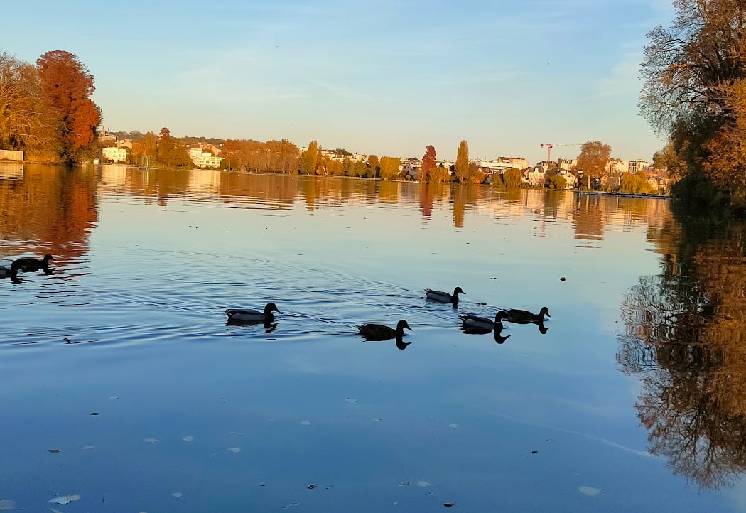 Association de Pêche et Pisciculture du Lac d'Enghien-les-Bains 2