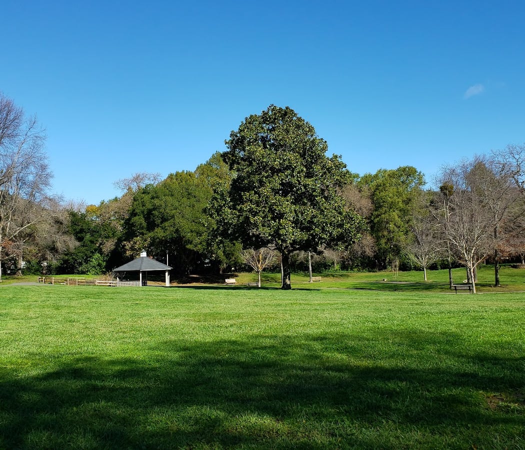 Pioneer Park Cemetery Tour 2