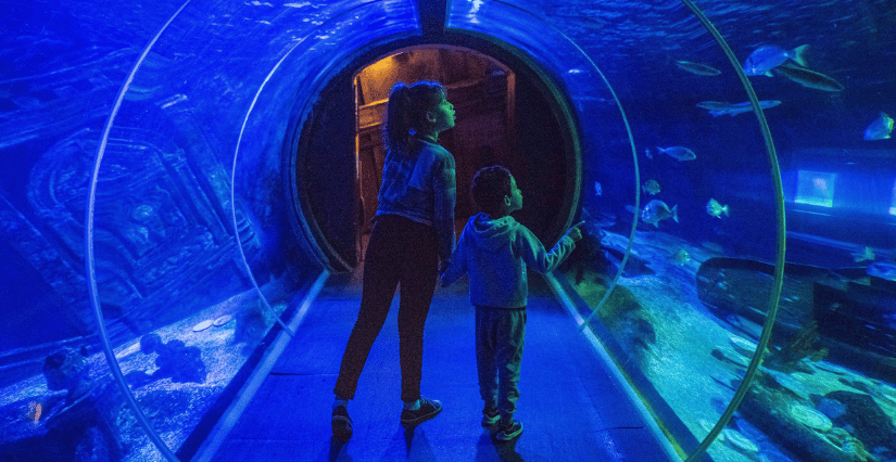 SEA LIFE Val d'Europe 1