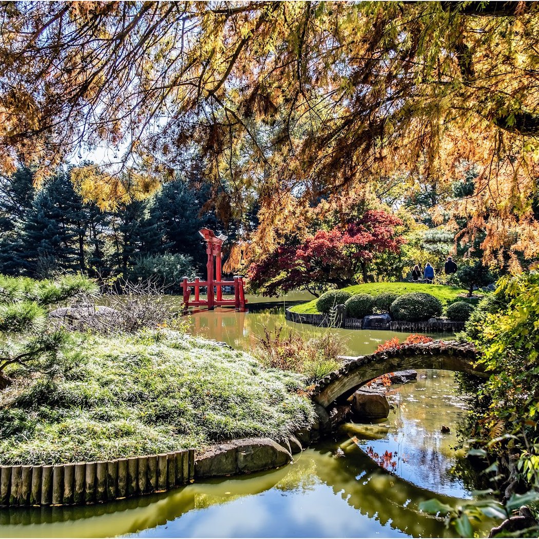 Botanical Garden Bridge 1