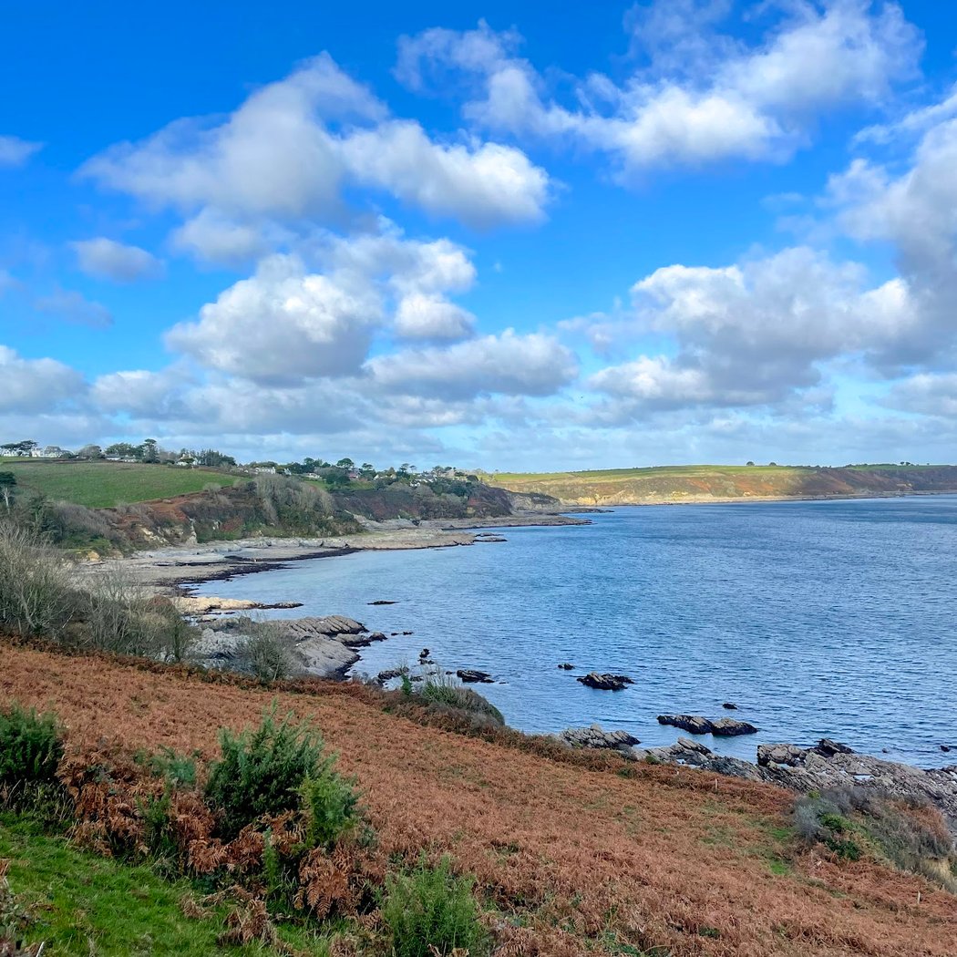 Bream Cove 2