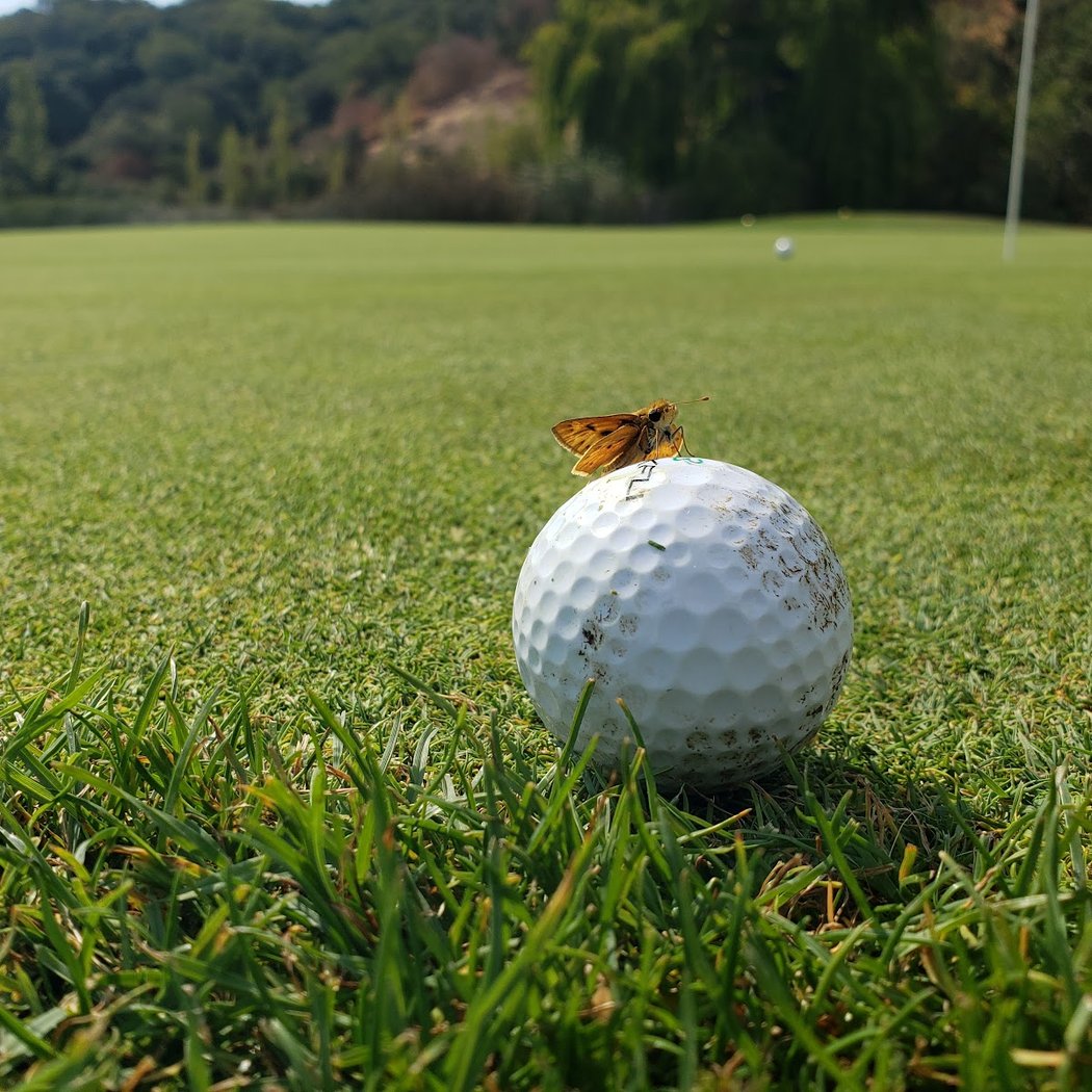 Santa Teresa Golf Club 1