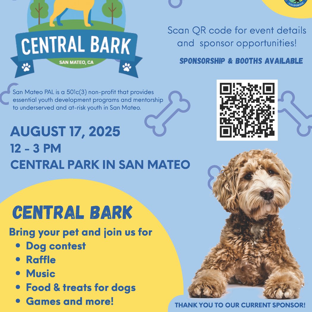 Central Bark 1