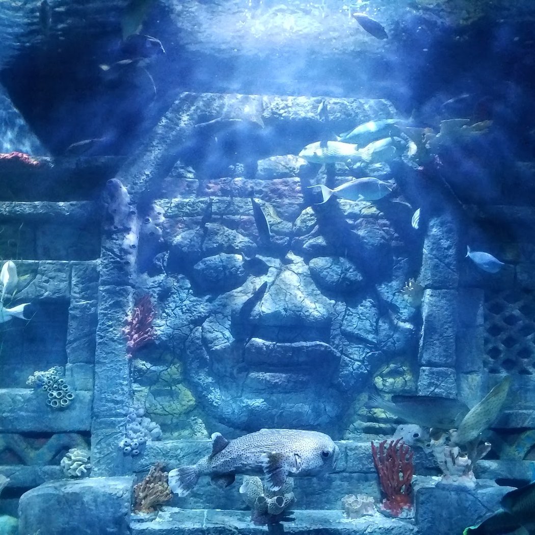 Downtown Aquarium 2