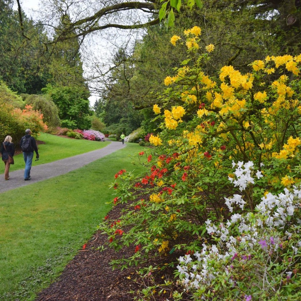 Arboretum Walking Tour 3