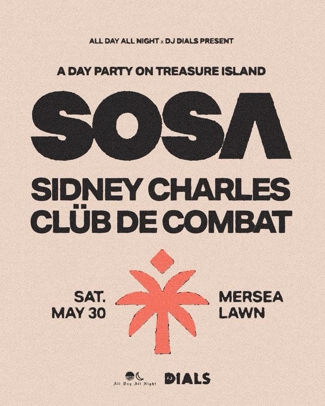 A Day Party on Treasure Island 1
