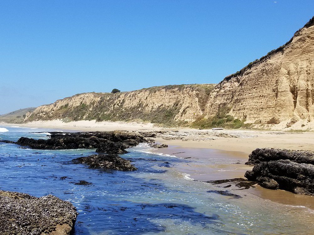 Limantour Beach 2