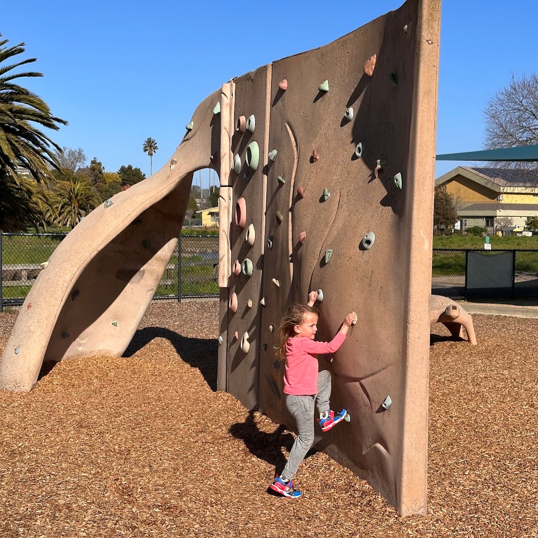 Town Park Playground 1