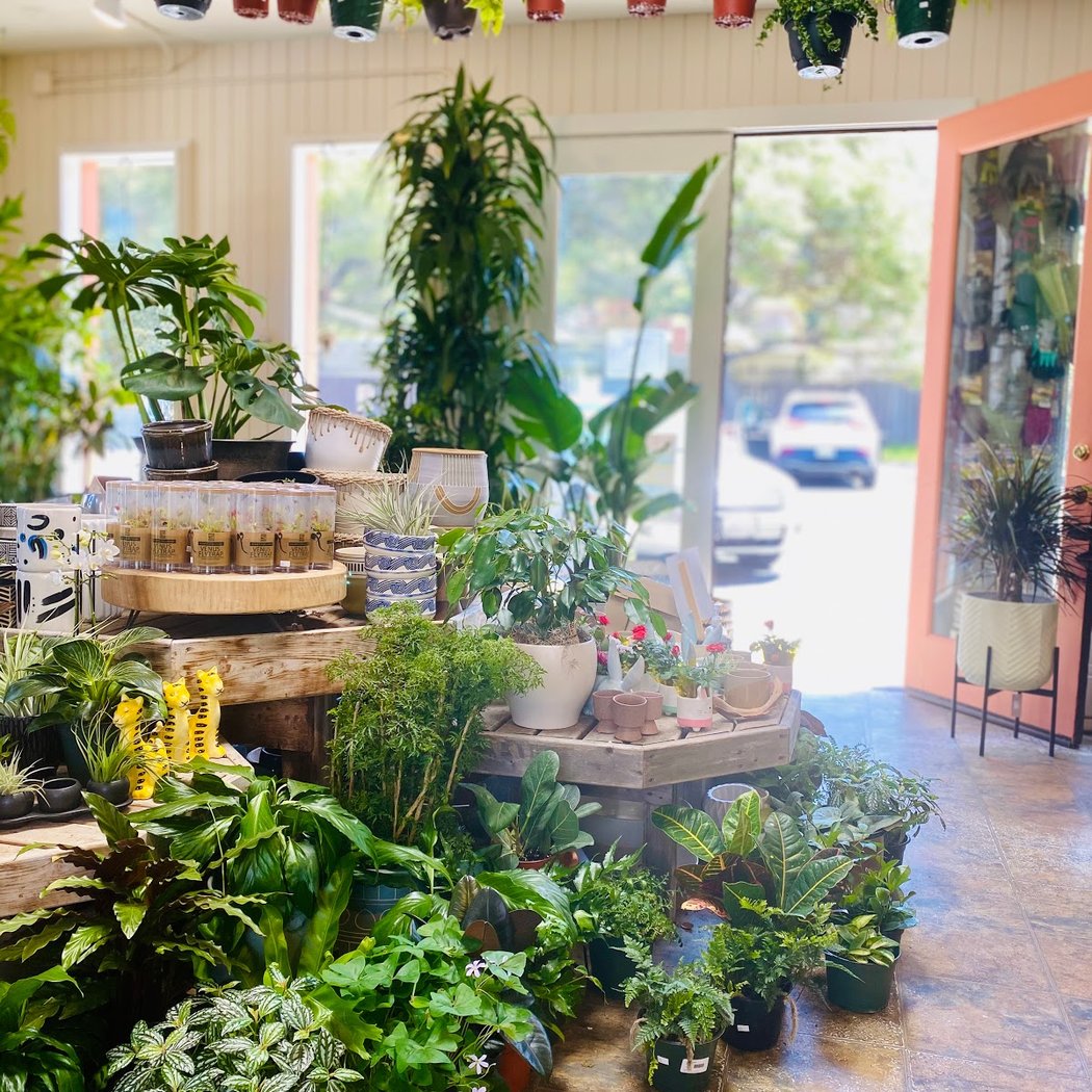 Broadway Terrace Nursery 3