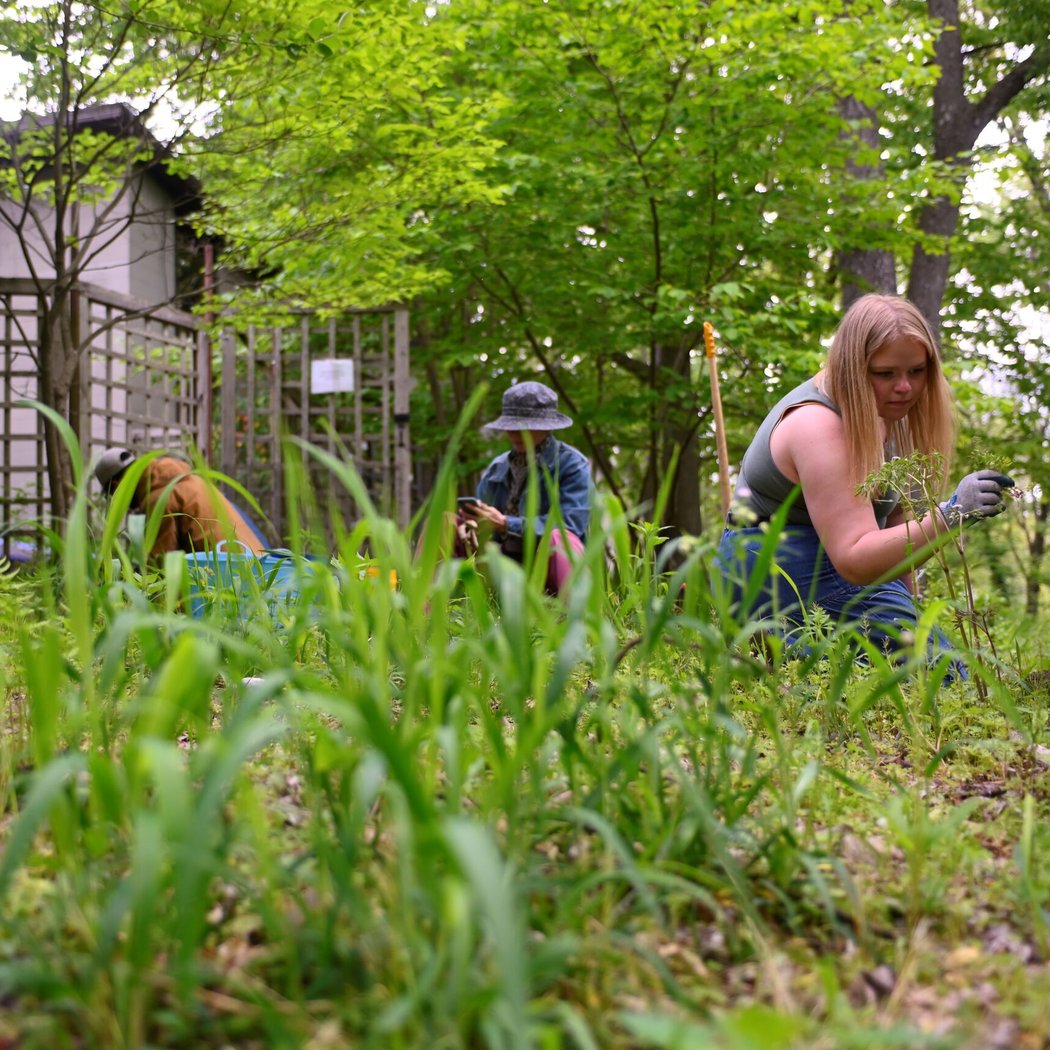 Native Planters 3