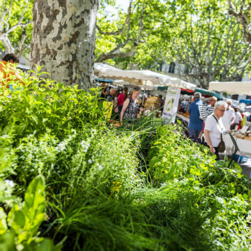 Market Remoulins 1