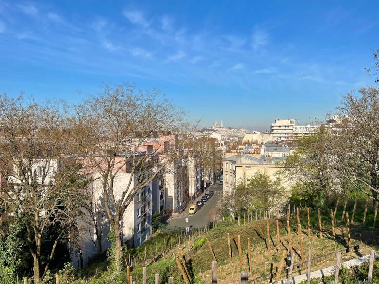 Jardin Bergeyre 1