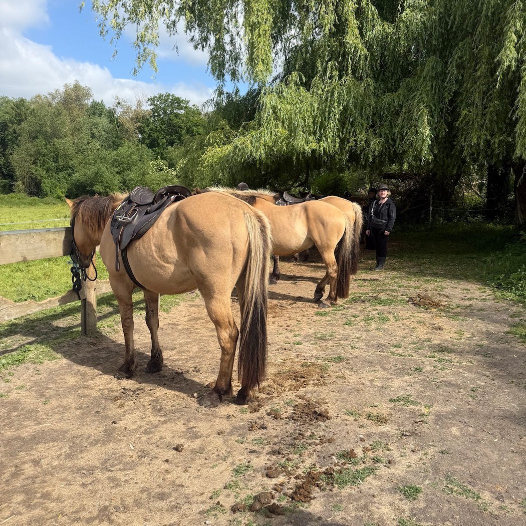 Espace Equestre Henson - Chantilly 3