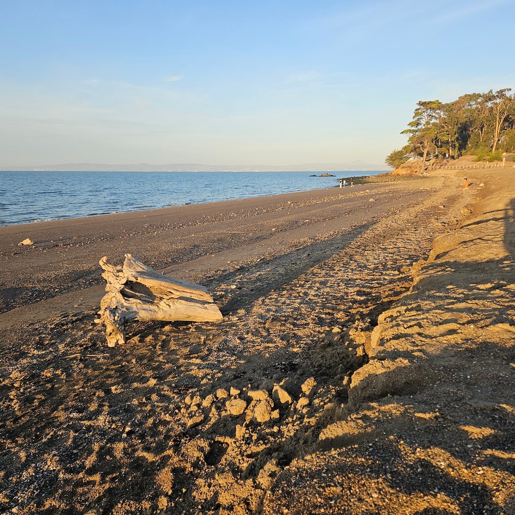 Coyote Point Beach 3