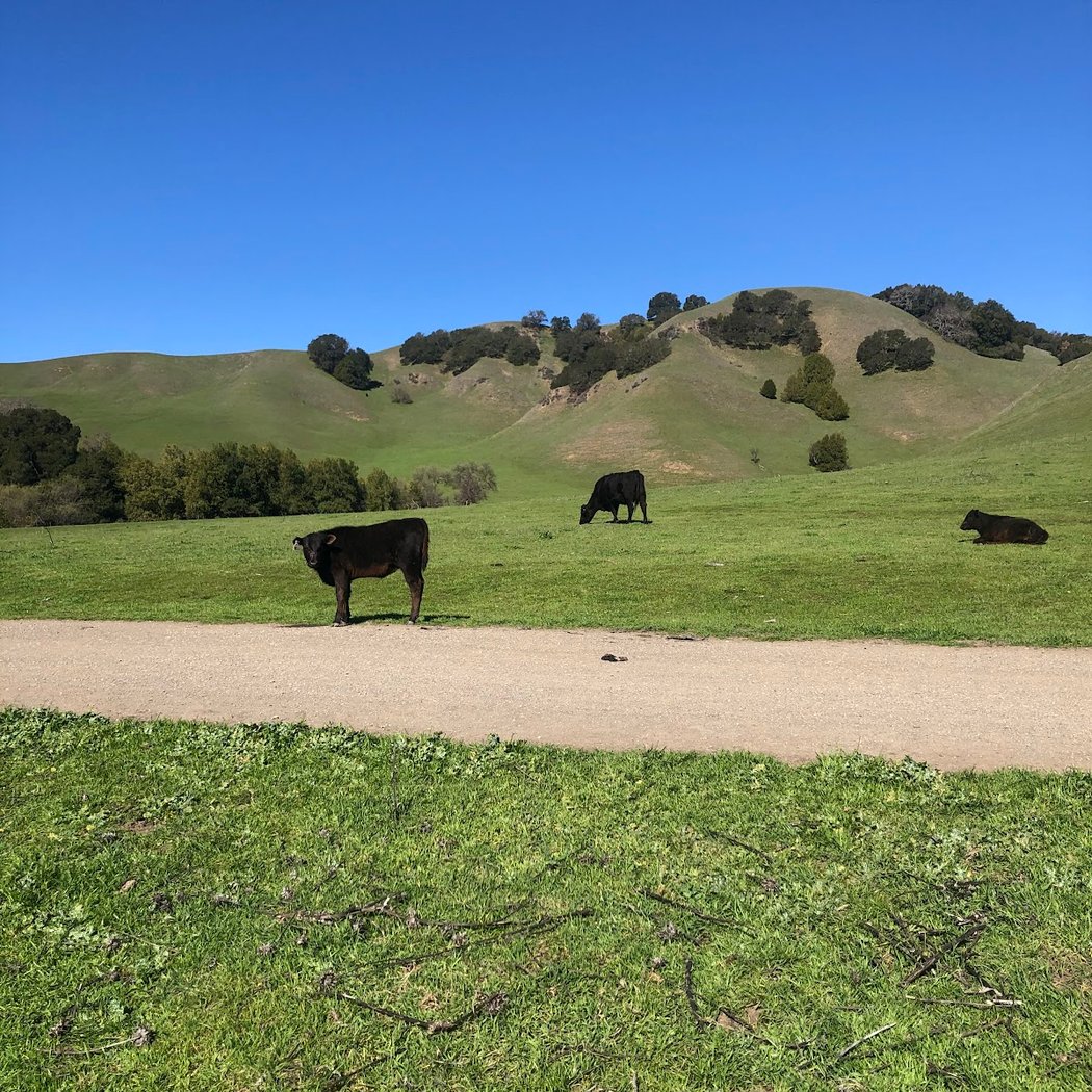 Bear Creek Staging Area 2
