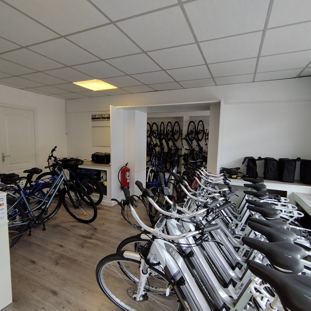 Loire Bikes 3