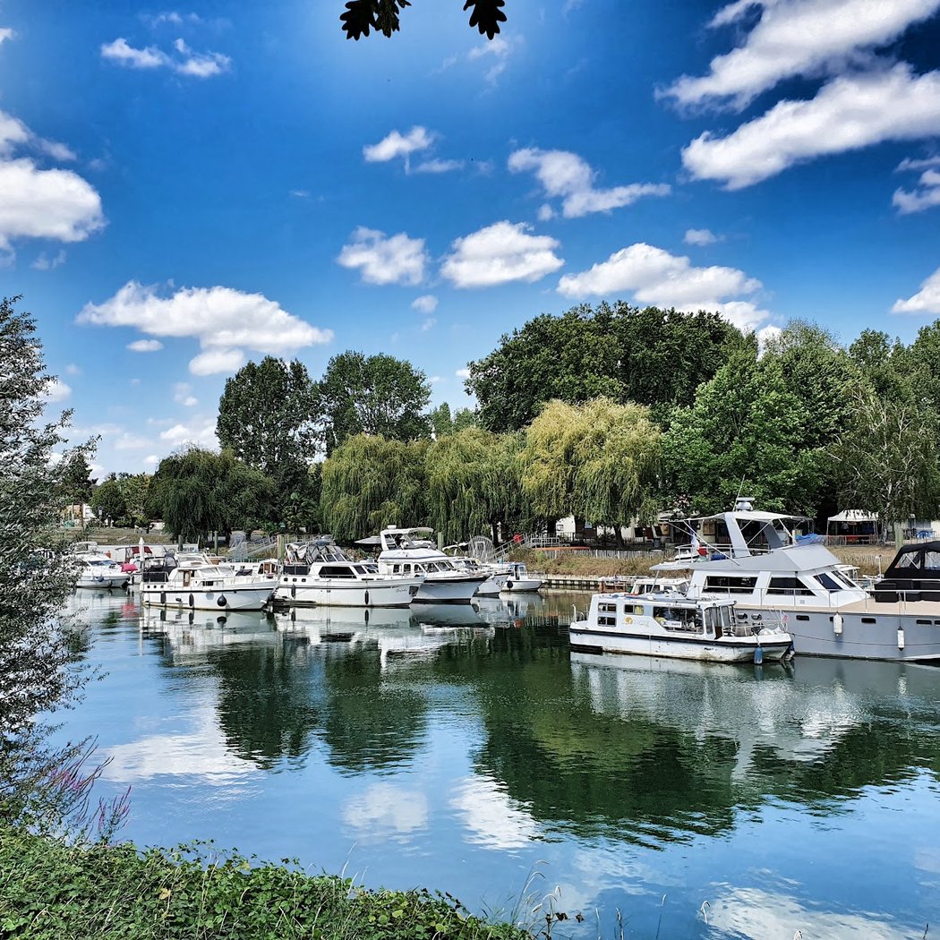 Baignade naturelle dans la Marne 1