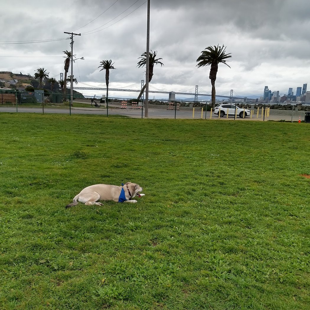 Treasure Island Dog Park 1