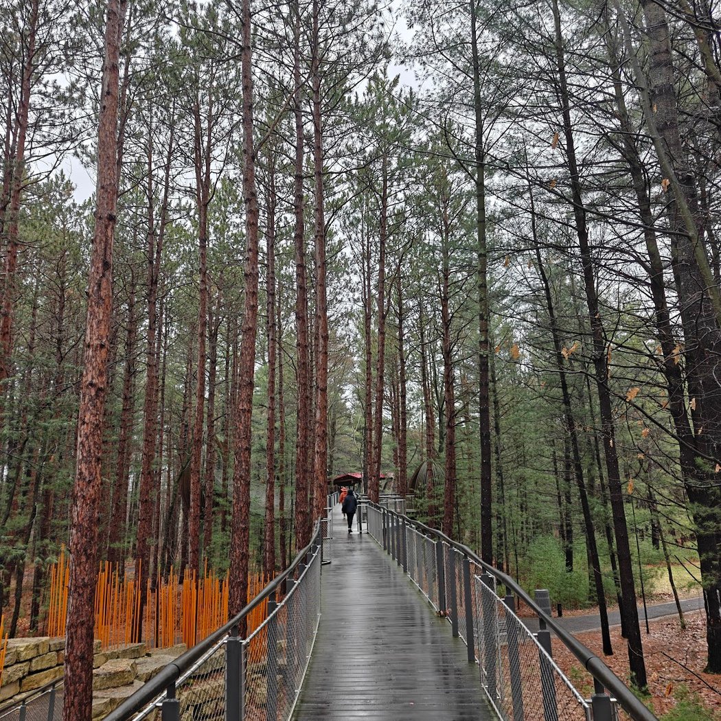 Dow Gardens Canopy Walk 1