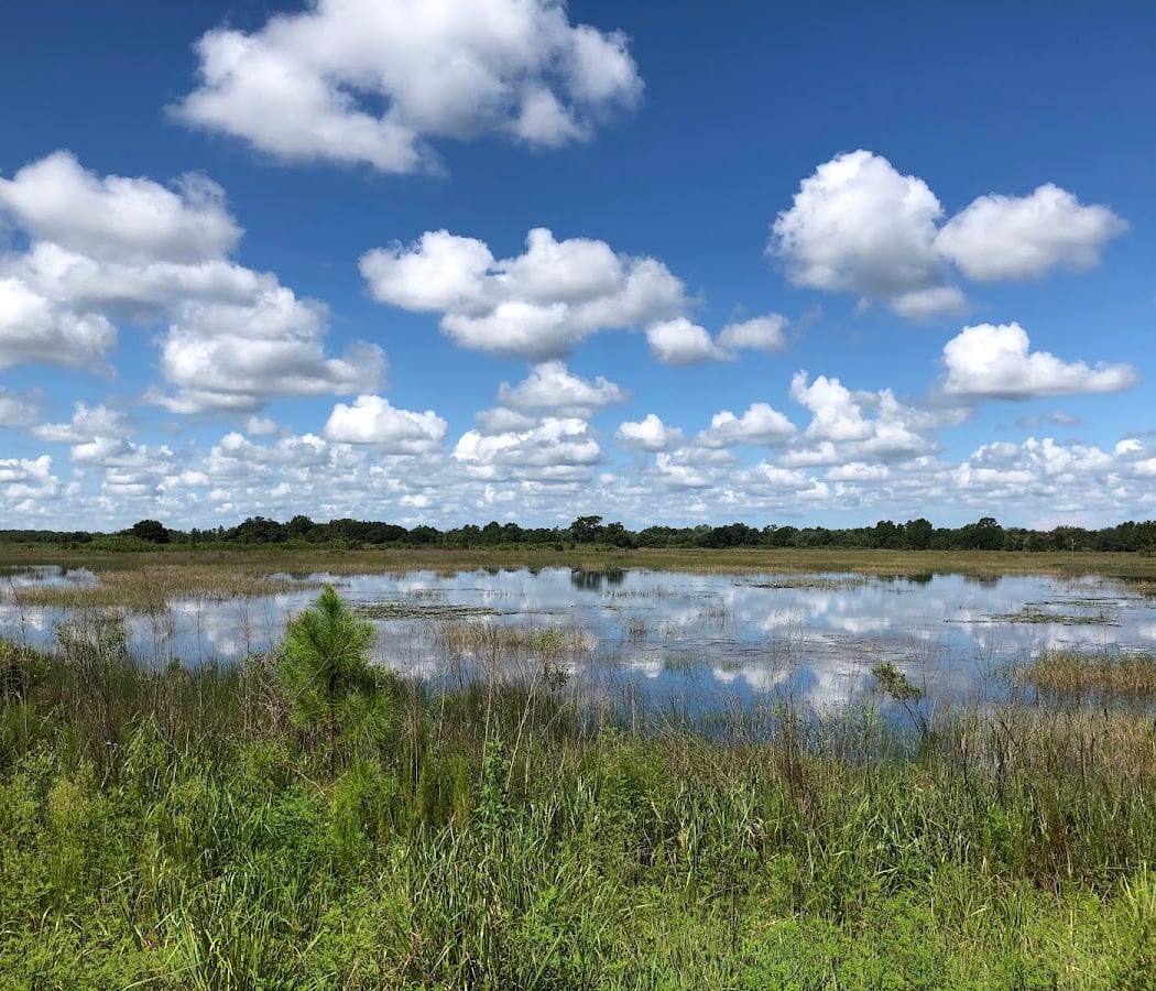 Conner Preserve 1