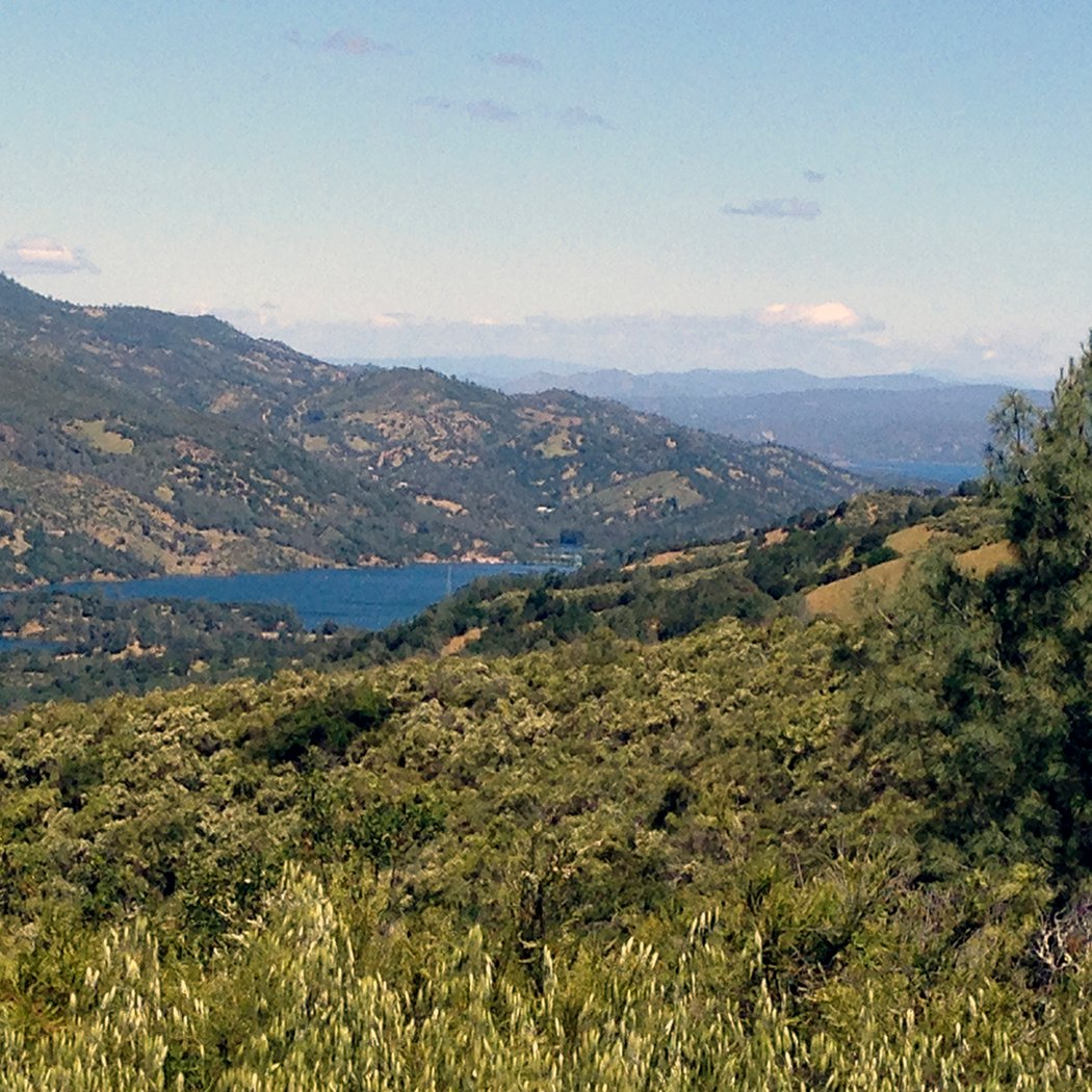 Wragg Ridge Preserve Birding 1