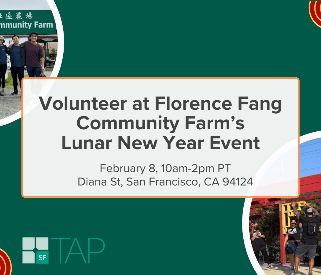 Lunar New Year Volunteering 1