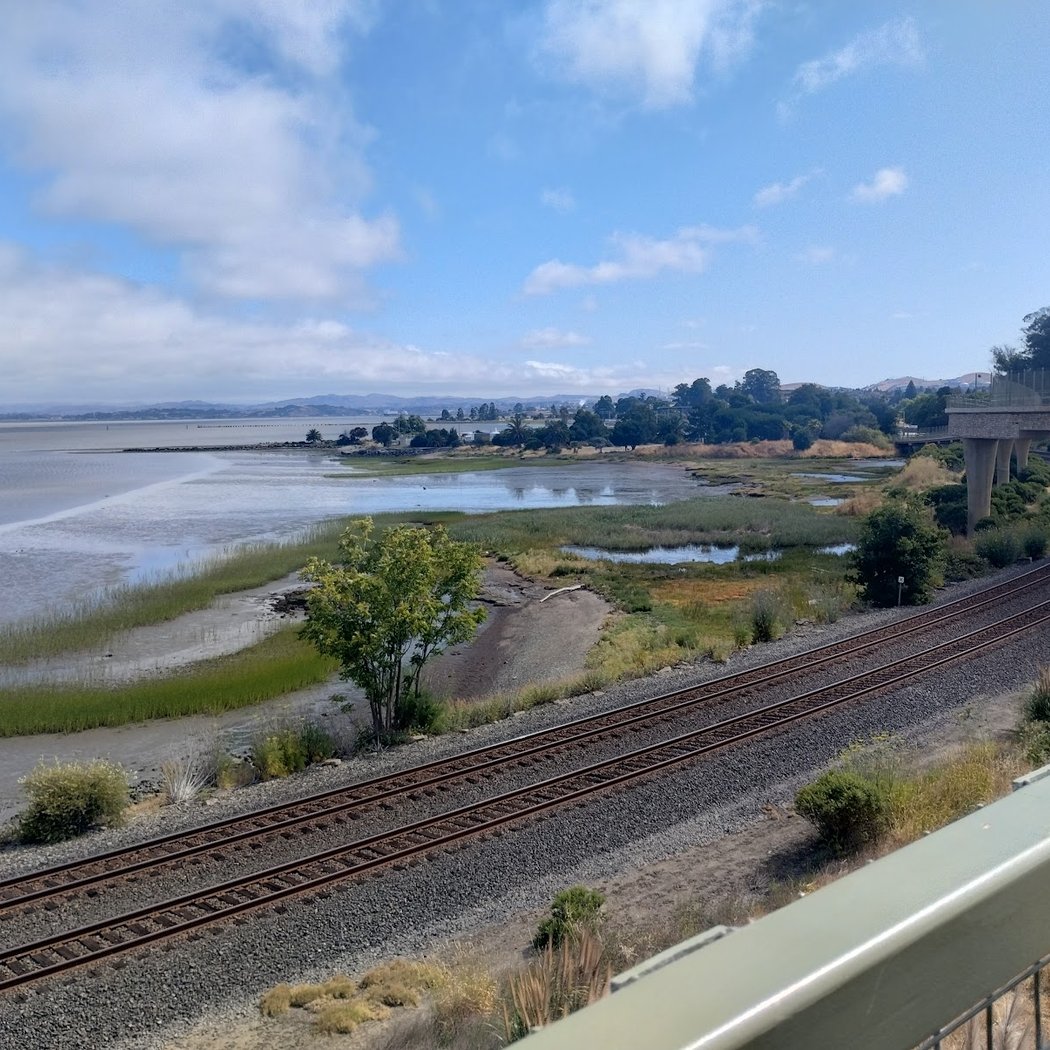 Bayfront Park 2