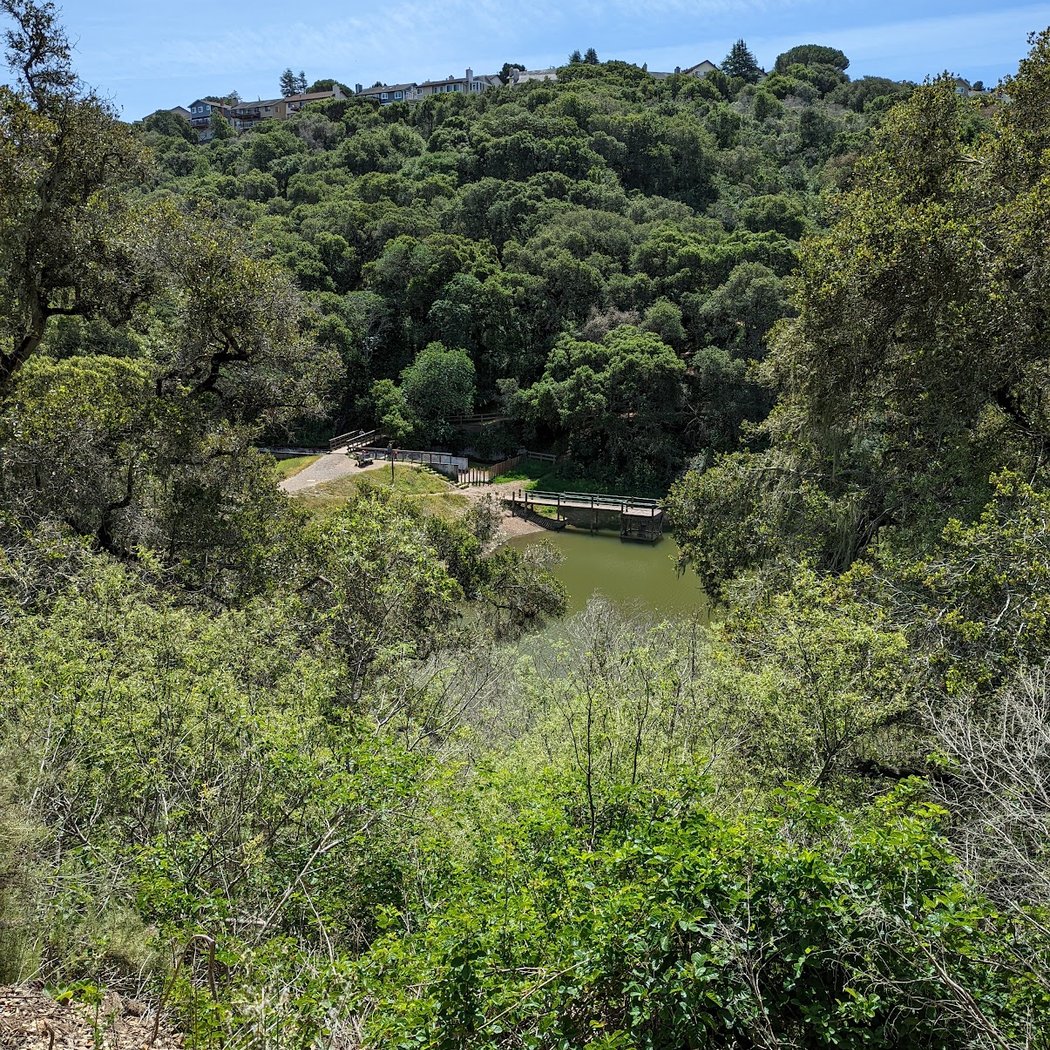 Waterdog Hiking North Trailhead 3