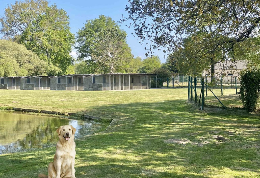 La Douce Vallée - Pension pour chien et chat 1