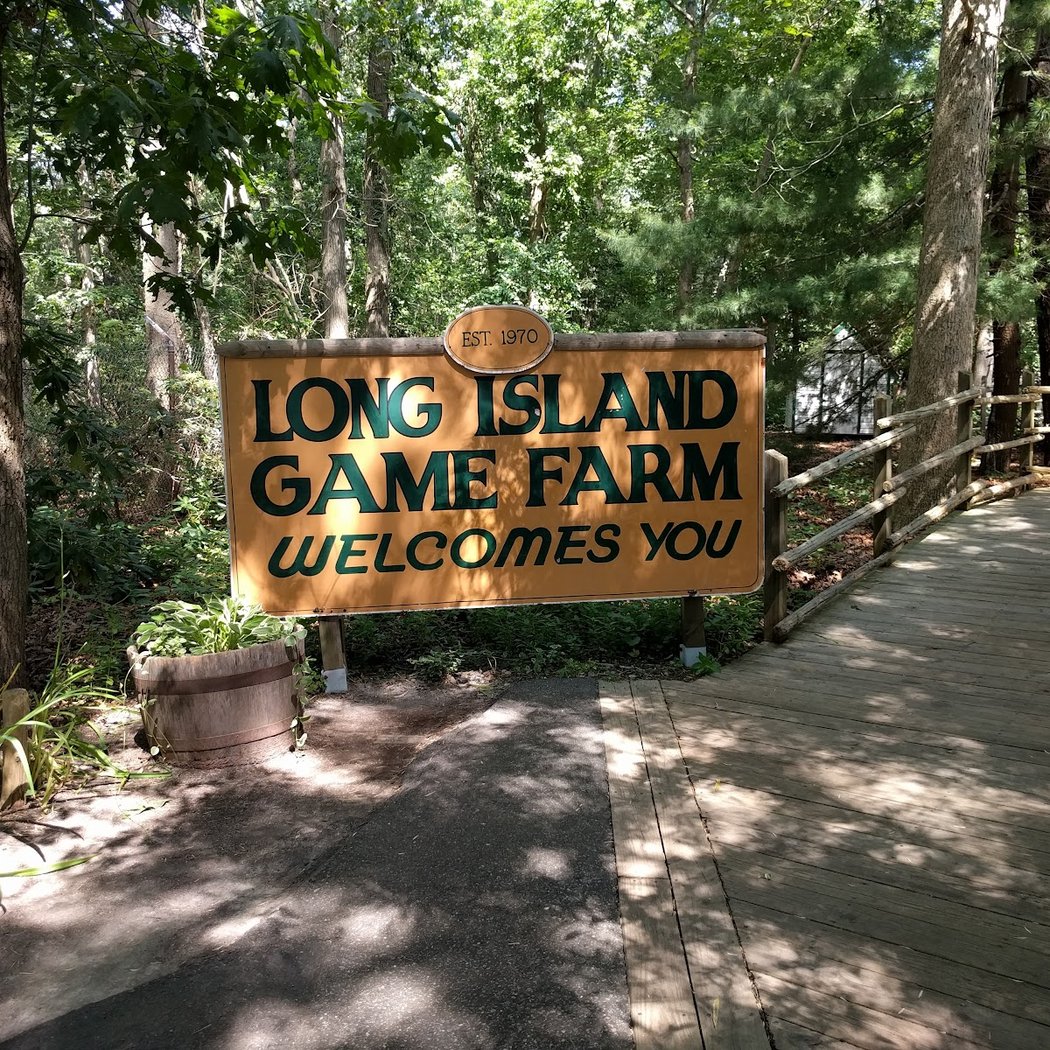 Long Island Game Farm Wildlife Park & Children's Zoo 2