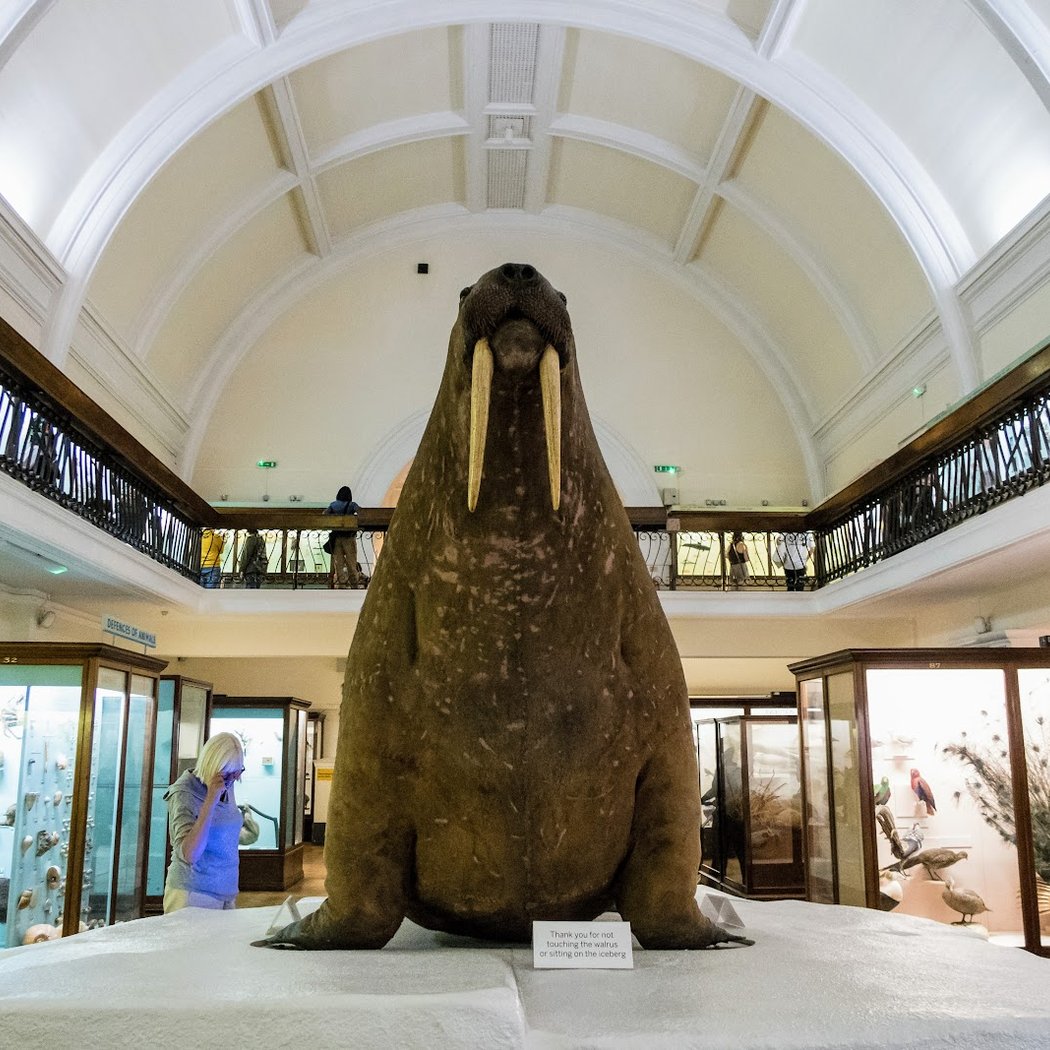 Horniman Museum and Gardens 1