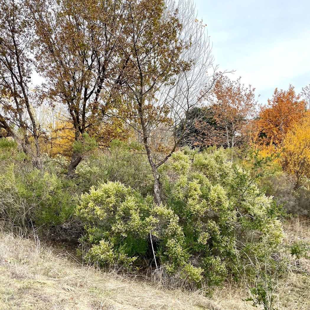 Marilyn Kane Trail head 2