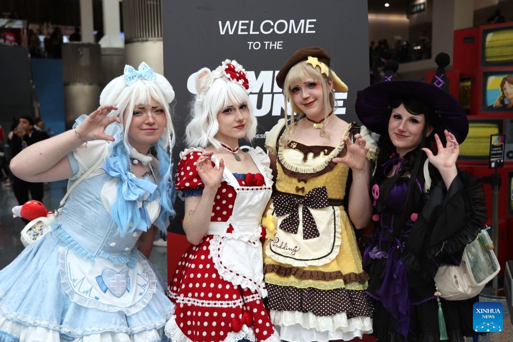 Anime Expo 5